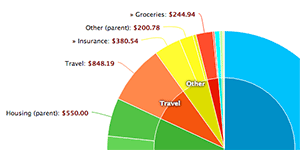 ClearCheckbook Yearly Pie charts